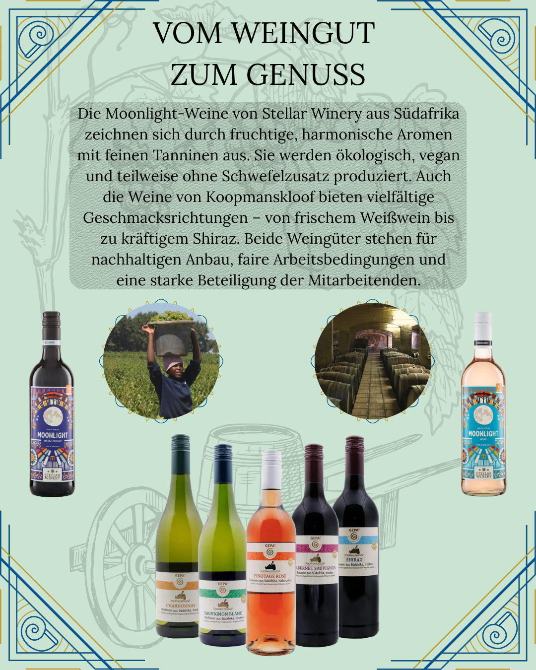 Info-Juni26-Wein