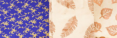 saris5_tbn